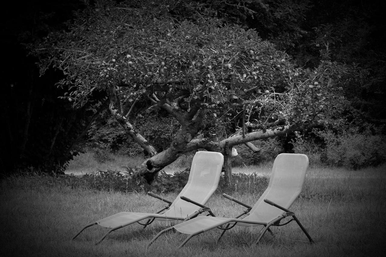 Les Volets Violets Bed & Breakfast Salles  Luaran gambar